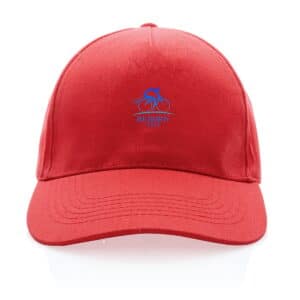 La Casquette du Reborntrip